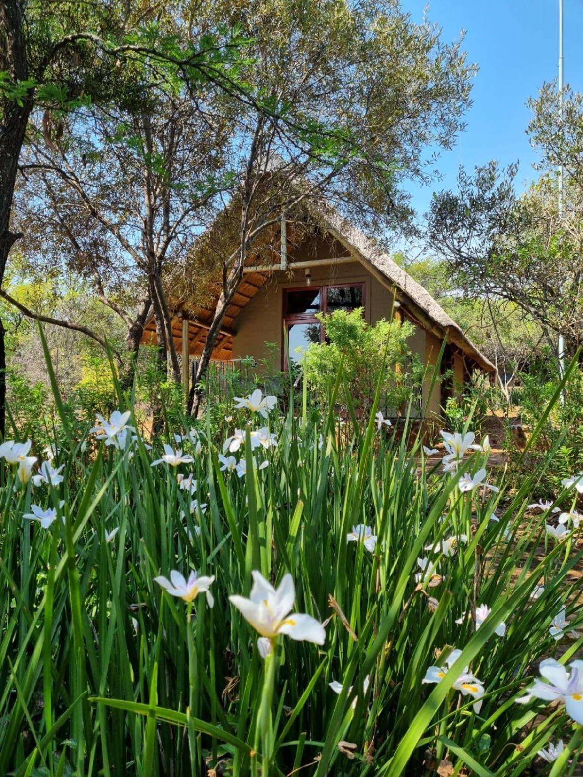 Tidimalo Lodge Rustenburg Eksteriør bilde